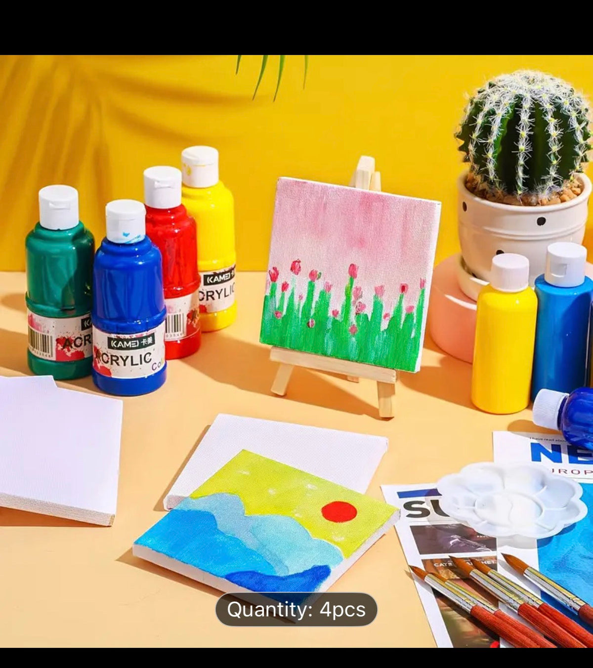 Mini Canvas 4x4