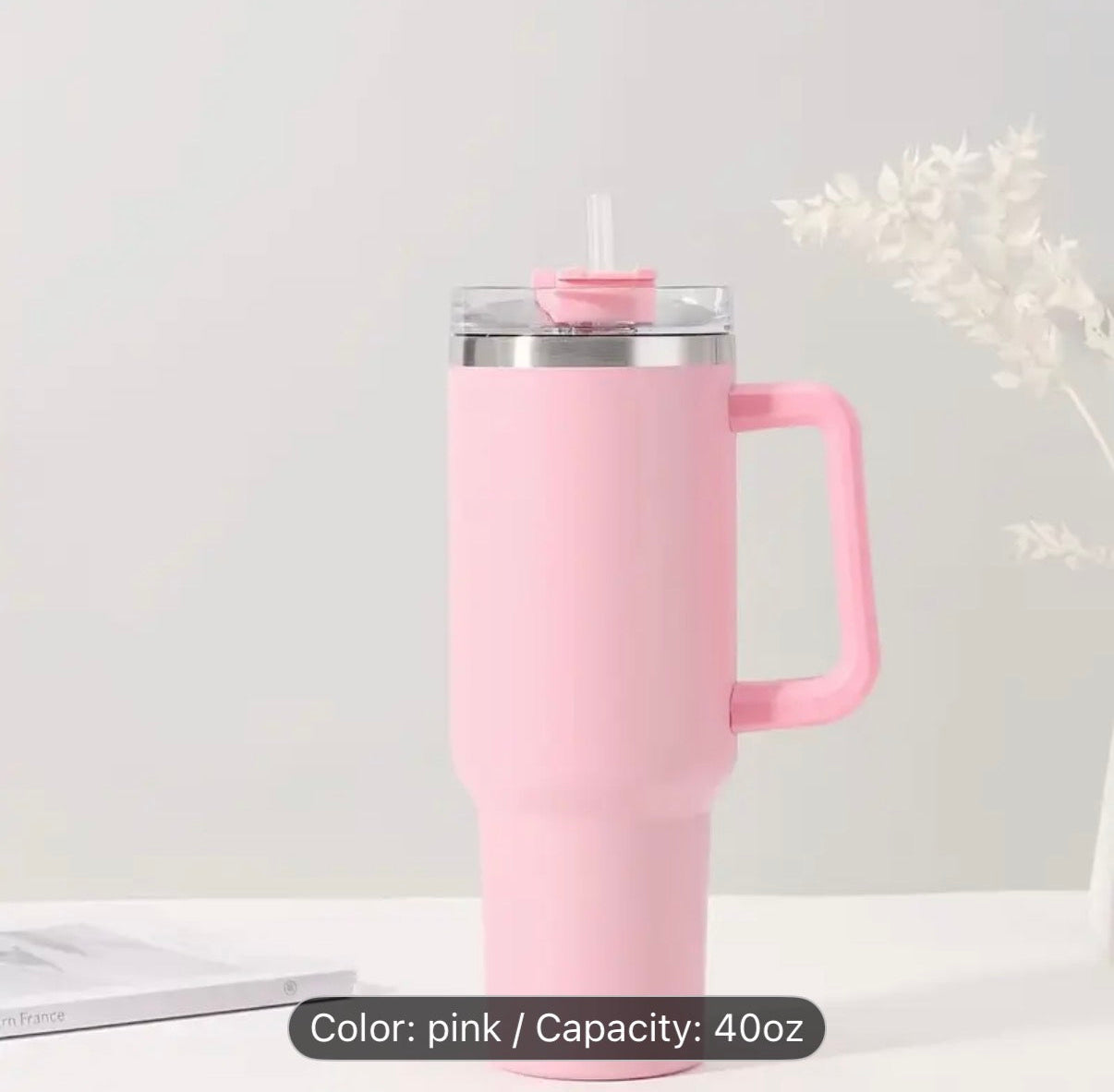 BIGRD Thermal Mug, Double Wall Leak Proof, with Straw and Handle