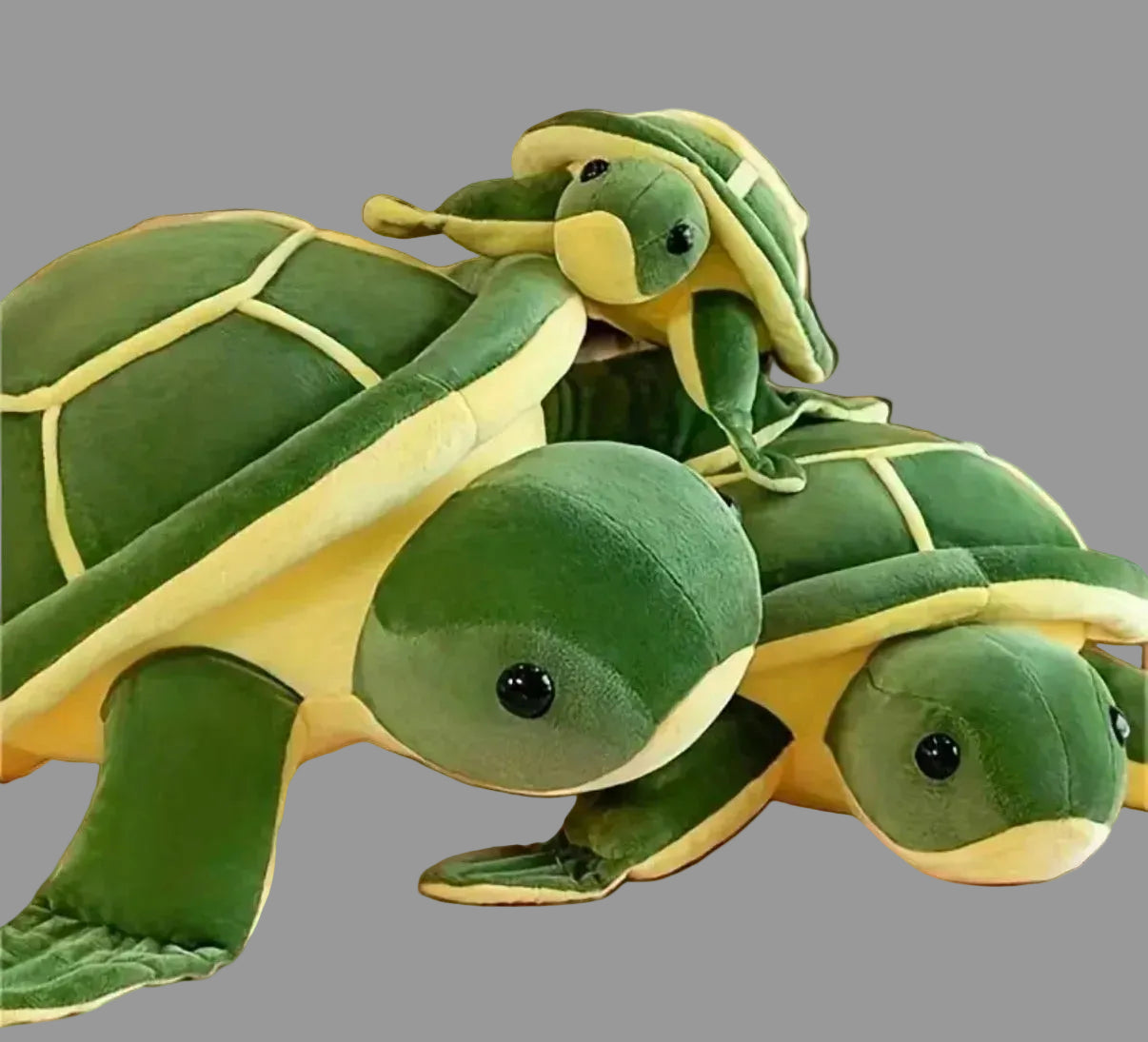 Stuff Turtle Plush Toy